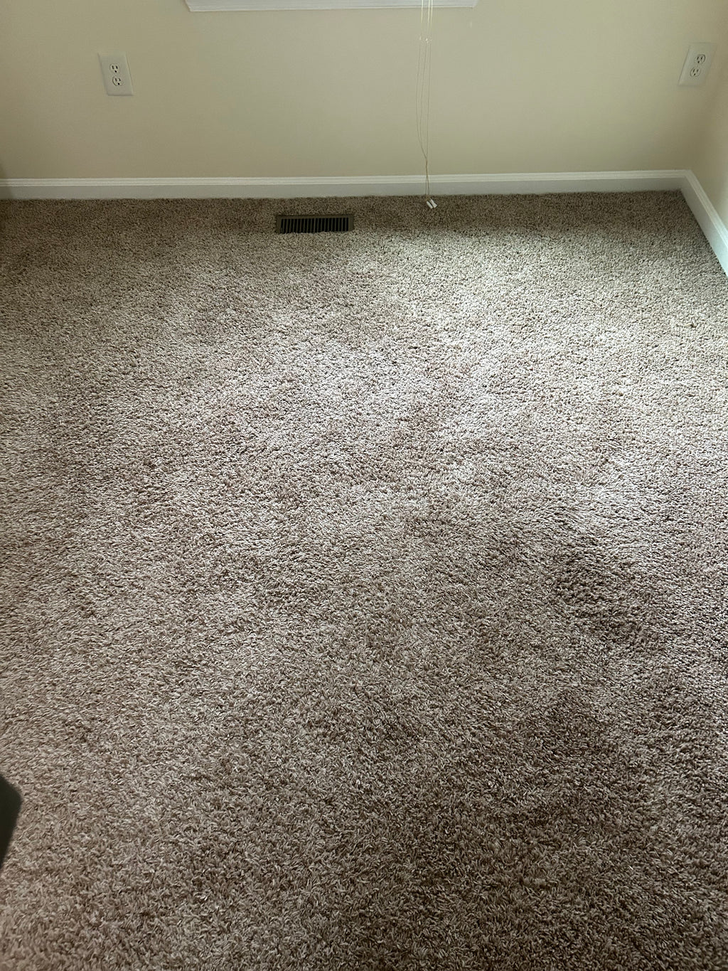 Carpet Clean