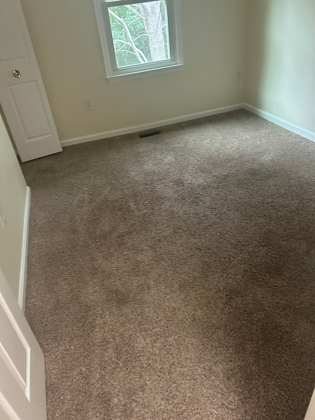 Carpet Clean